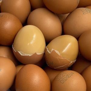 탱글탱글 맥반석 구운계란 구운란 중란 2판 / 60구 HACCP인증