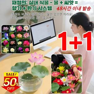 발아율99% 1+1 꽃씨앗 모음 꽃잔디 씨앗 야생화 씨앗 혼합 꽃씨앗