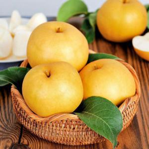 (신선집중) 나주배 25년 햇 나주배 가정용 3kg (4-8과/중과)