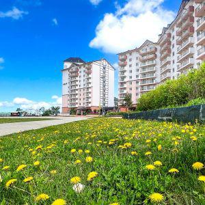 |레저로그인|오투 리조트(강원 호텔/태백)