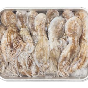 국내산 활 주꾸미 1kg 15-20미 암수랜덤 + 초장 1팩 증정