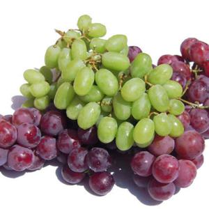 초록들농산) 껍질째 먹는 씨없는 청포도 3kg /크림슨포도/거봉 (미국산) -옵션선택