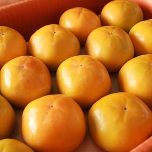 대박농수산 가정용 단감 태추 부유 서촌단감 3kg 5kg 당일수확 신선한 자연의 아름다음을 느껴보세요