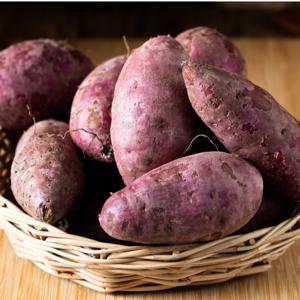 해남 고구마 밤고구마 햇밤고구마 진율미 산지직송 5kg  최저가 행사 / 25년 수확 햇고구마 발송