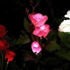 아트박스/월데코 장미 LED 태양광 꽃정원등(핑크)