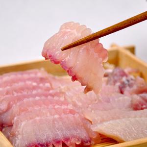 [목포직송]채해숙님의 흑산도 홍어 500g(약 숙성)