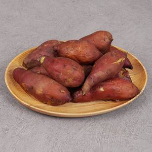 세척 꿀고구마 5kg 한입