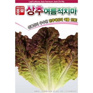 아시아종묘 씨앗 상추 여름적치마 3000립