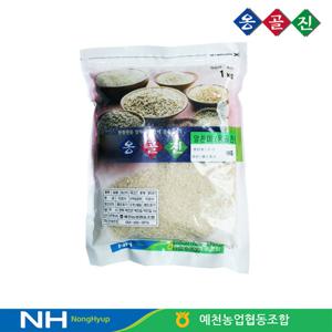 예천농협 옹골진 국내산 알찬미 1kg