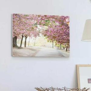 아트박스/꾸밈 bh984-폼아크릴액자58CmX38Cm_벚꽃나무봄길