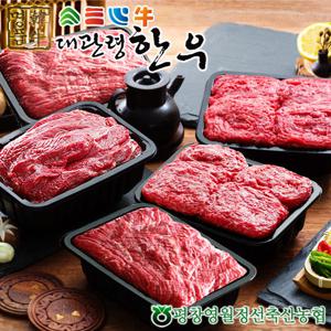 [대관령한우] 1등급이상 프리미엄플러스5호(3kg)/국거리600gx2팩+불고기600gx2팩+장조림600g