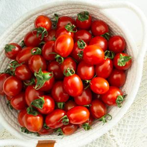 아삭 달달 대추방울토마토 2kg/4~5번과
