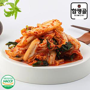 [함평골김치] 감칠맛이 풍부한 전라도 맛김치 2kg