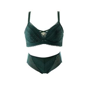 [비너스]저중심잘모아지는 볼륨업브라+햄팬티VBRG620ABVPTG620H
