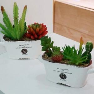 아트박스/진바스 TR 다육이화분 조화