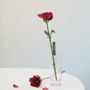 아트박스/디어먼트 심플 롱 원형 유리화병 인테리어 소품