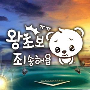 곰돌이의왕초보죄송해욥 초보자동차스티커-화이트