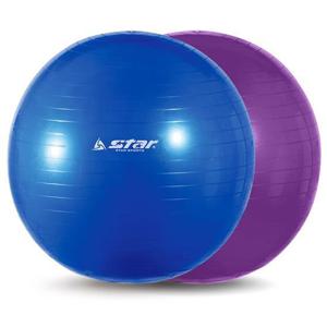 스타 짐볼 65cm EB200 (발펌프 포함) 요가짐볼 홈트짐볼 가성비좋은