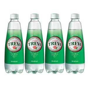 트레비 자몽 500ml 20펫