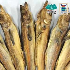 용대리 통황태 특대왕 10미(마리당 51~53cm)