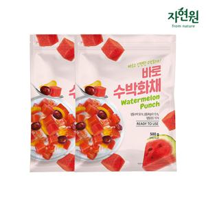[자연원] 바로수박화채 500g x 2팩
