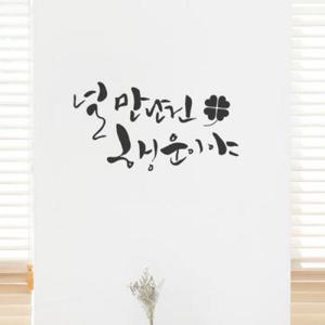 아트박스/꾸밈 tc089-널만난건행운이야_그래픽스티커