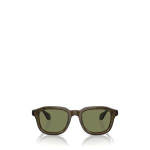 조르지오 아르마니 선글라스 AR8206 60612A TRANSPARENT GREEN