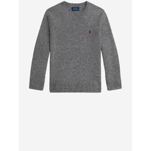 POLO RALPH LAUREN Polo Ralph Lauren Sweaters Grey 322951349007
