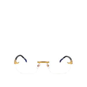 까레라 선글라스 CARRERA1142001 Gold