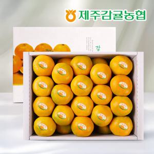[제주바람] 제주농협 직송 제주 하우스감귤 선물세트 3kg (로얄과)