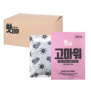 아트박스/핫데이 핫데이핫팩 고급형 100g X 100매