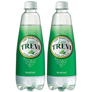 롯데 트레비 라임 500ml x 12펫