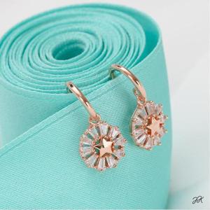 14K 금침 로즈골드 일자침 큐빅 별 드롭 귀걸이
