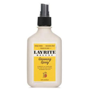 레이라이트 데일리 케어 스프레이 200ml