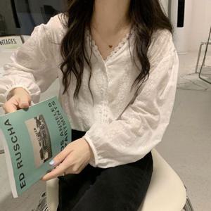 레이스 펀칭 브이넥 블라우스 AM-0684