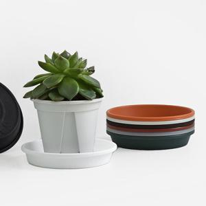 동그라미 받침대 플라스틱 화분 물받침  1호(8cm)