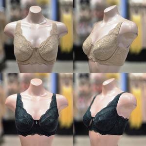 [비너스] 레이스 보정브래지어(vgbm150e,f)