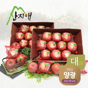 산지애 햇사과 양광 5.4kg (총 2박스) / 대과