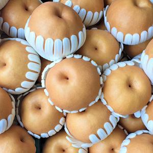 제철과일 고당도 나주배 신고배 중소과 5.0kg 8-10과 가정용 못난이 흠과