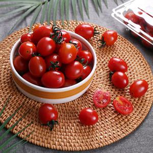 HACCP인증 달콤한 다니 스테비아 대추방울토마토 500g
