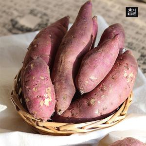 참다른 세척 꿀고구마(베니하루카) 10kg 대(왕)