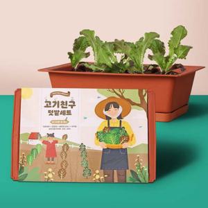 (꿈쟁이) 고기친구키우기세트(물받침대포함)
