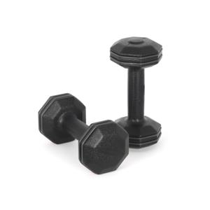 아리프 블랙라인 범퍼 옥타곤 덤벨 2kg 2개 세트