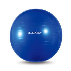 스타 짐볼 55cm EB240-07 요가 마사지 튼튼