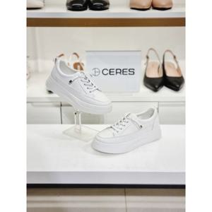[쎄레스]여성 스니커즈 레이스업 심플 베이직(4cm)C3R22Y4DROL300