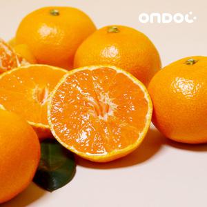 [온도씨]제주 조생 노지감귤 9kg (프리미엄과/S)