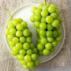 [작심밀도]자연맑음 샤인머스켓 2kg(3-4송이)