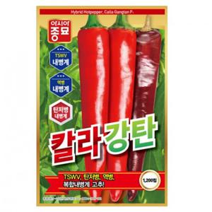아시아종묘 씨앗 고추 칼라강탄 1200립
