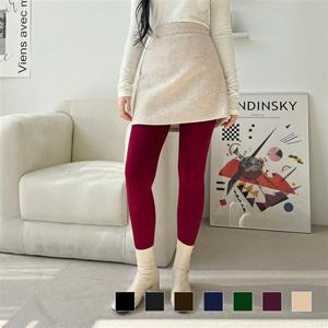 데일리 솔라 따뜻 퍼레깅스 OD-221099 패션