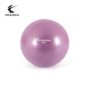 안티버스트 안티 버스트 짐볼 65cm 라일락